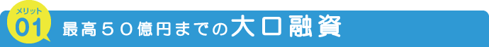 不動産担保ローンのメリット 最高50億円の大口融資