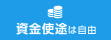 資金使途は自由